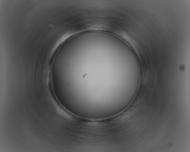 X0000094951227200712131615