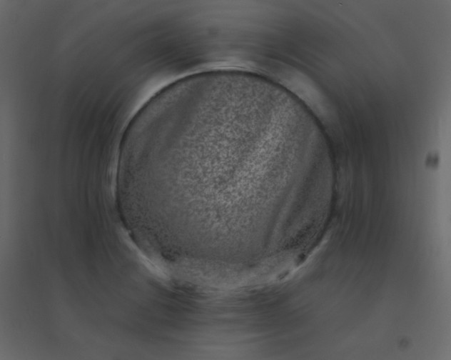 X0000094951228200712131615