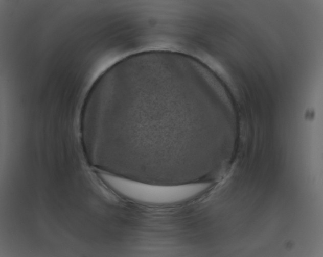 X0000094951230200712131615