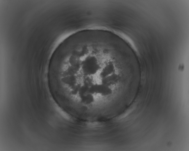 X0000094951231200712131615