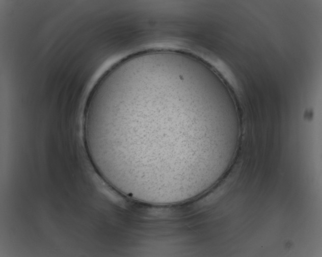 X0000094951232200712131615