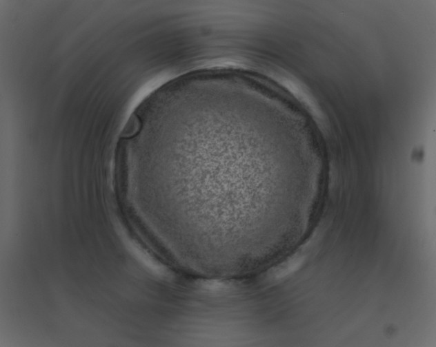 X0000094951234200712131615