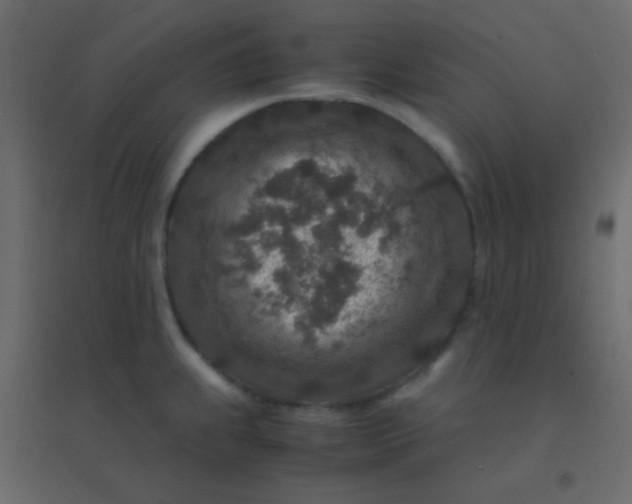 X0000094951239200712131615