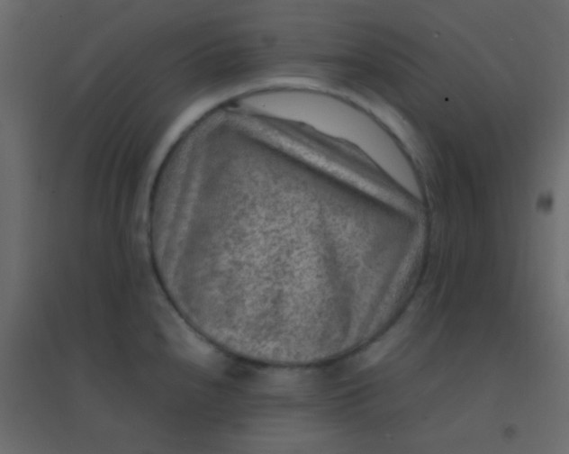 X0000094951240200712131615