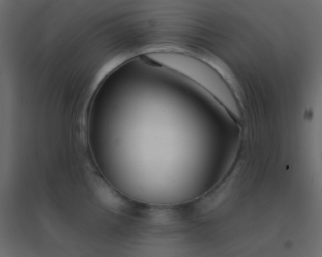 X0000094951242200712131615