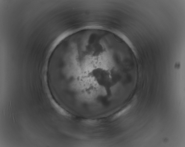 X0000094951245200712131615