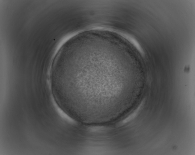 X0000094951247200712131615