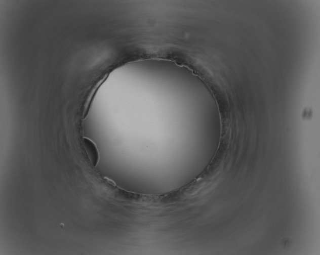 X0000094951249200712131615