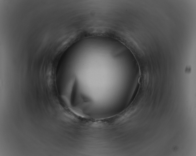 X0000094951250200712131615