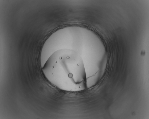 X0000094951252200712131615