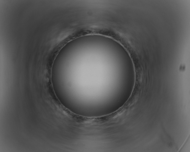 X0000094951253200712131615