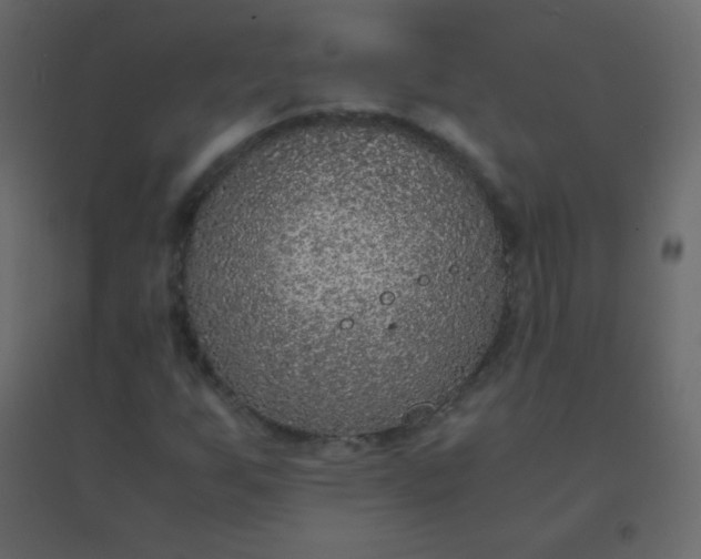 X0000094951255200712131615