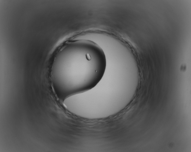 X0000094951256200712131614