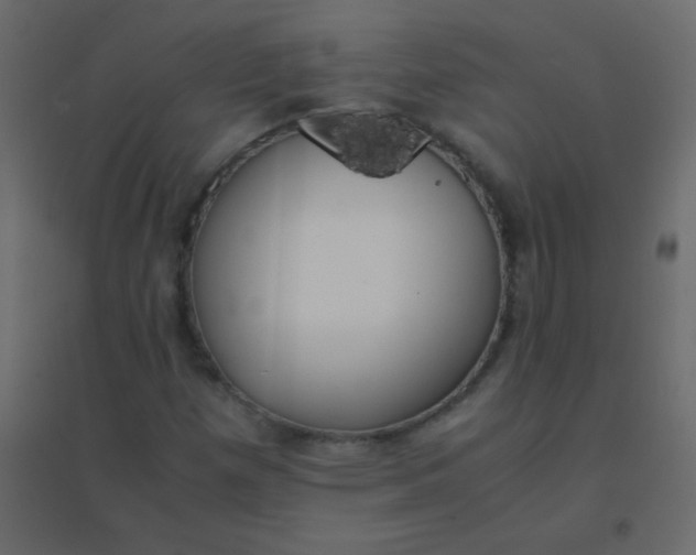 X0000094951257200712131614