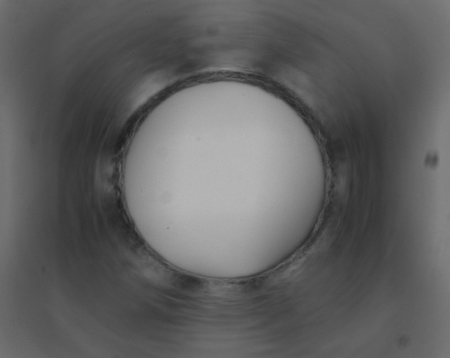 X0000094951258200712131614