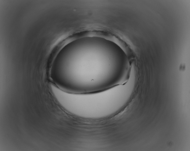 X0000094951261200712131614