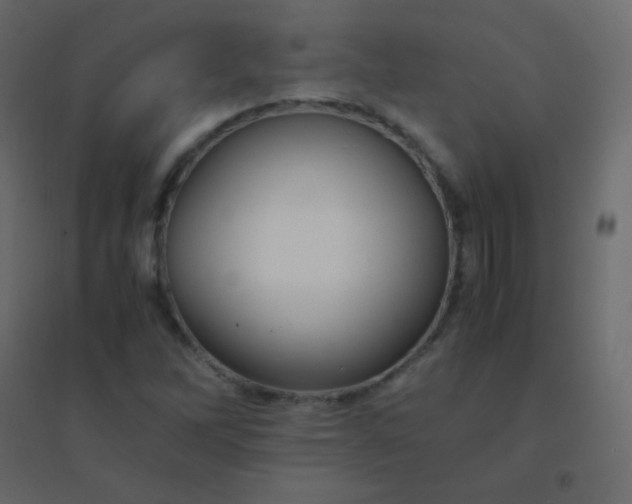 X0000094951262200712131614