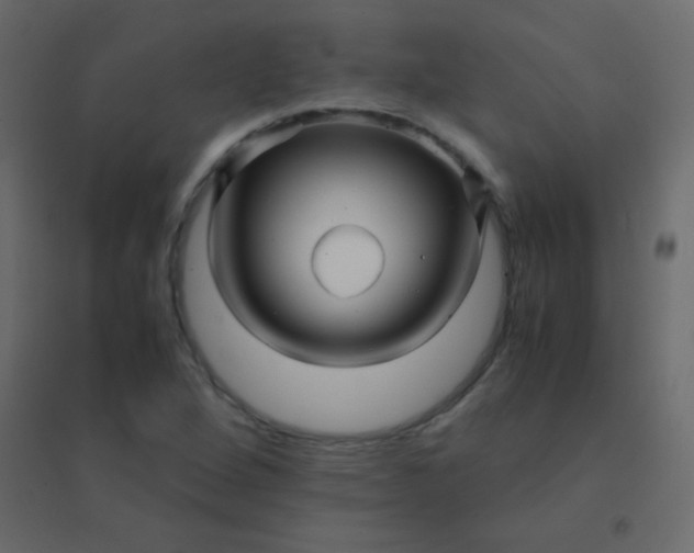 X0000094951264200712131614