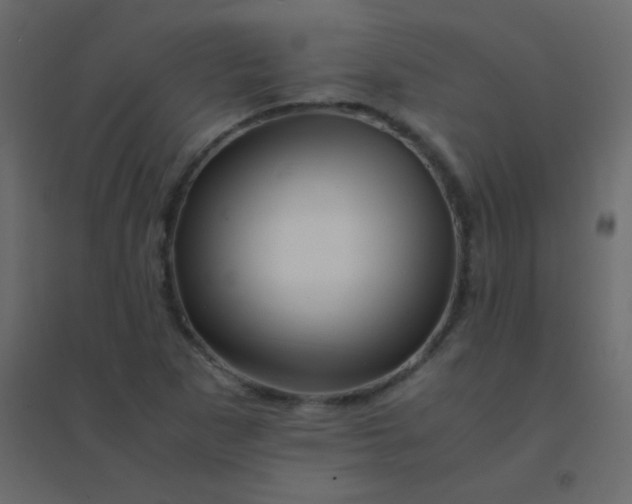 X0000094951265200712131614