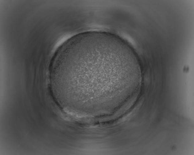 X0000094951267200712131614