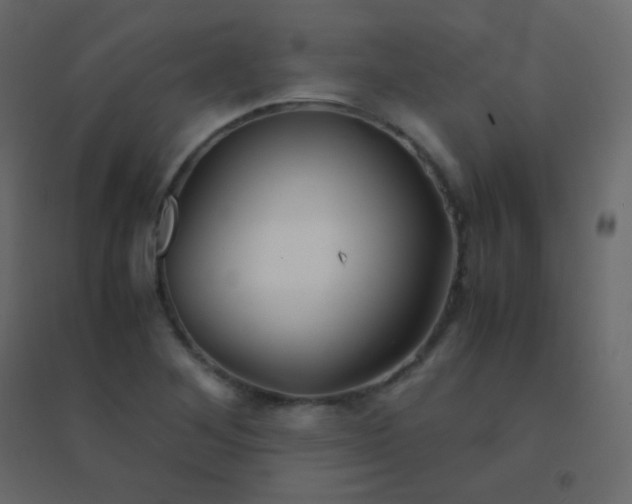 X0000094951268200712131614