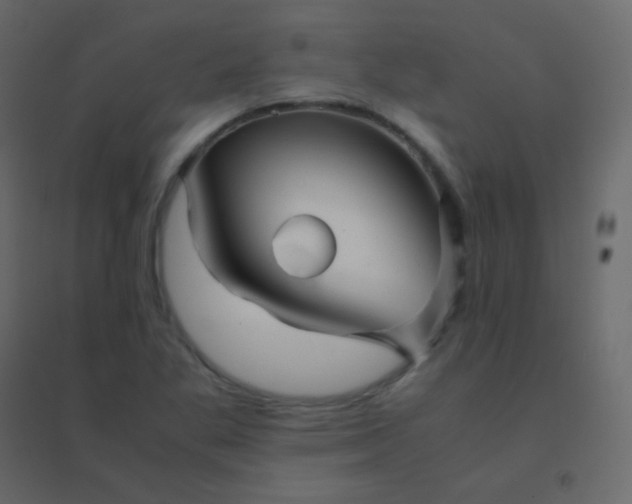 X0000094951269200712131614