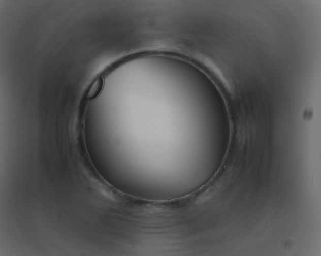 X0000094951270200712131614