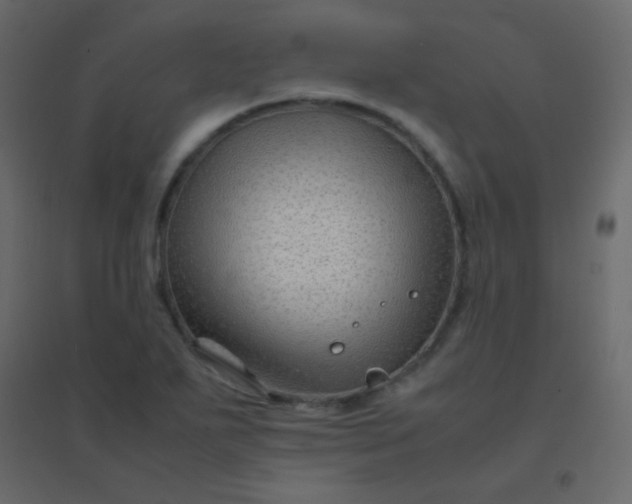 X0000094951271200712131614