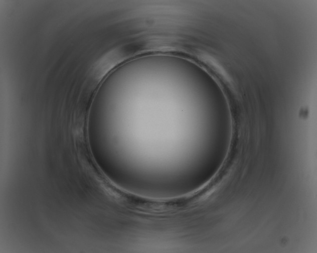 X0000094951273200712131614