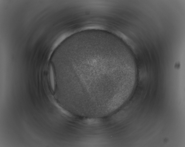 X0000094951274200712131614