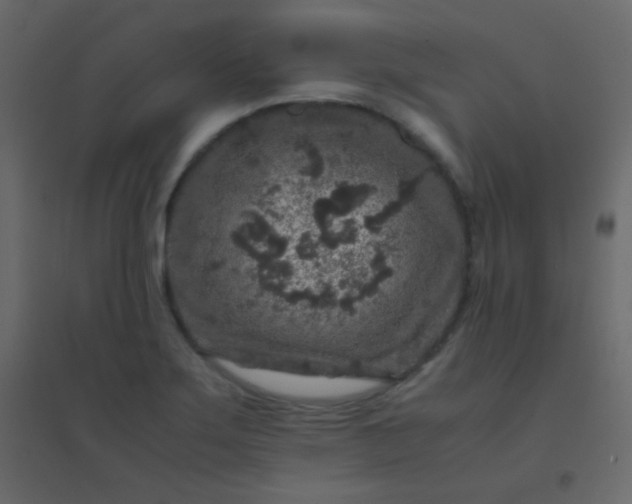 X0000094951275200712131614