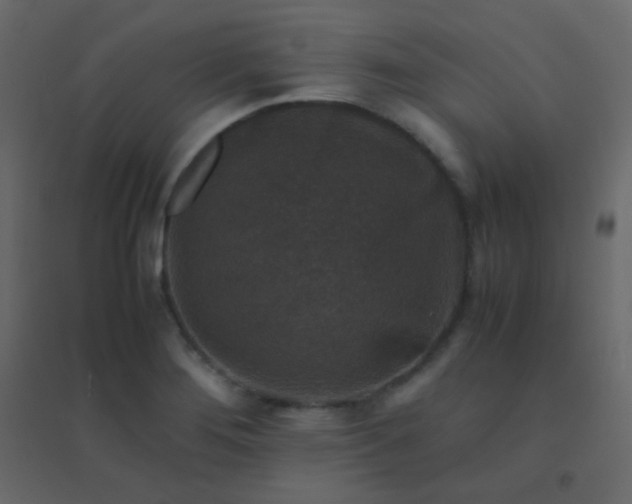 X0000094951276200712131614