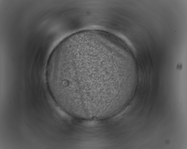 X0000094951278200712131614