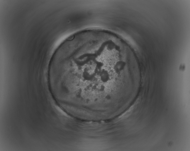 X0000094951279200712131614