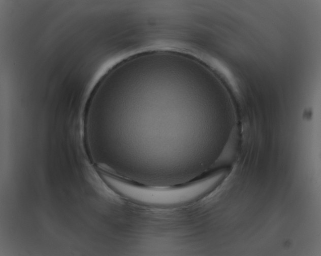 X0000094951280200712131614