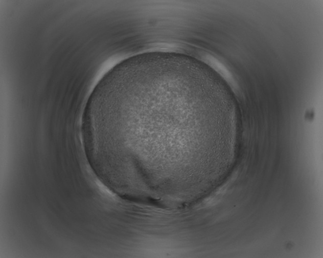 X0000094951283200712131614