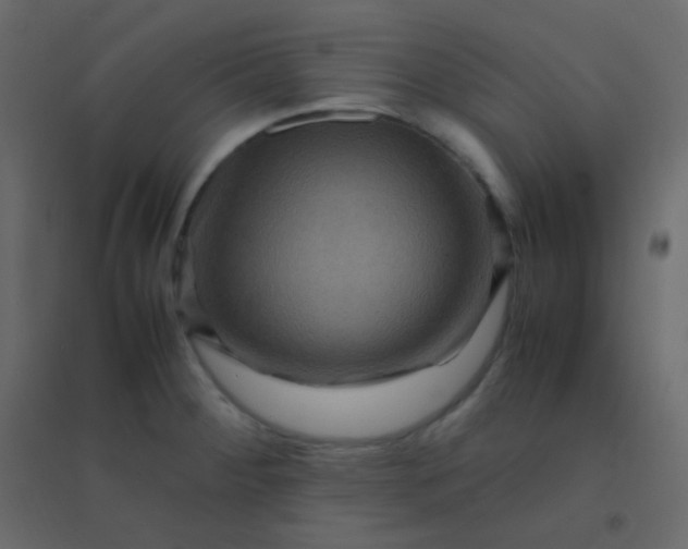 X0000094951284200712131614