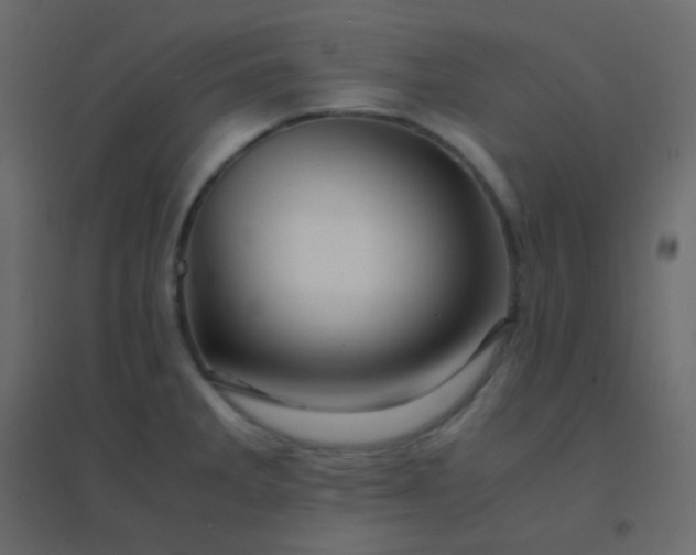 X0000094951285200712131614