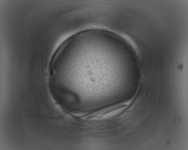 X0000094951287200712131614