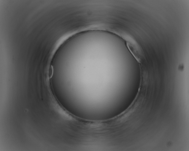 X0000094951288200712131614