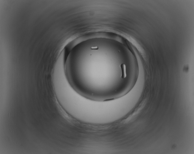 X0000094951289200712131614