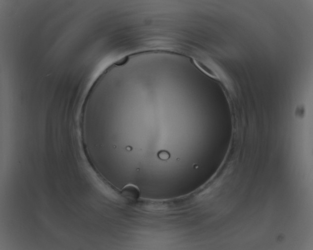 X0000094951291200712131614