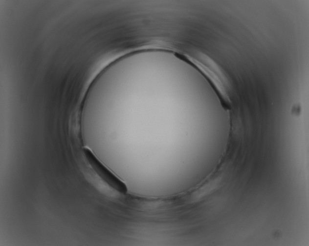 X0000094951292200712131614