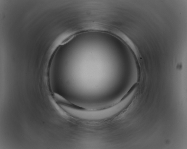 X0000094951293200712131614