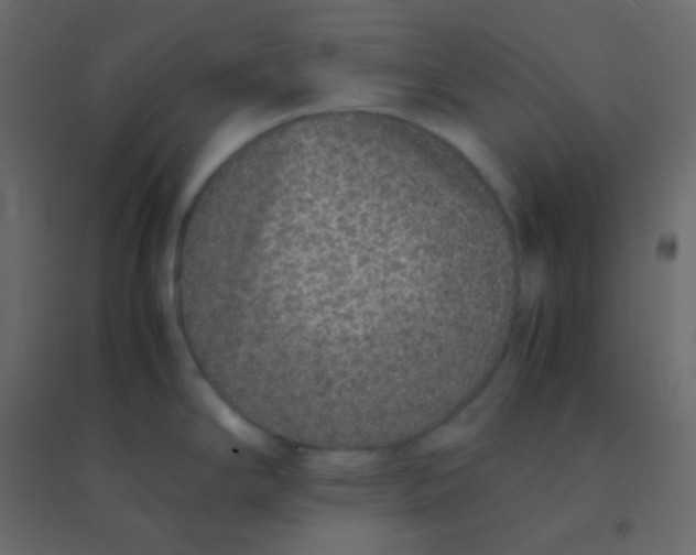 X0000094951294200712131614