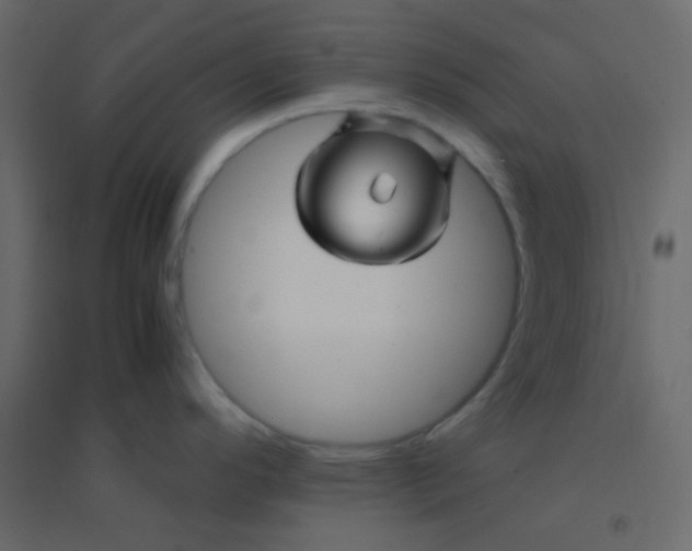 X0000094951296200712131614