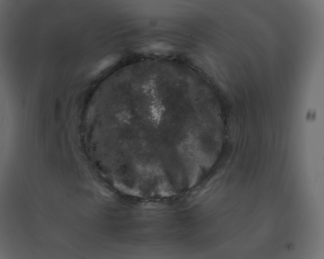 X0000094951297200712131613