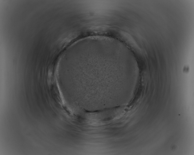 X0000094951298200712131613