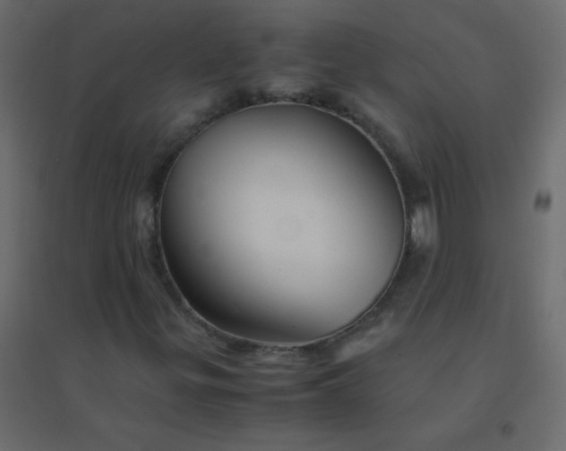 X0000094951299200712131613