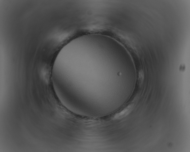 X0000094951300200712131613